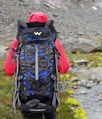 Wildcraft Backpack Travel Bag Hiking Bag Trekking Rucksack for Outdoor 