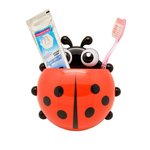 Ladybird Insect Toothbrush Holder at RS.199
