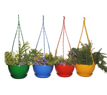 Deal: Upto 50% off on Pots and Plants