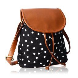 65% off on  Kleio Polka Dots Canvas Slingbag For Girls / Women