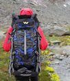 Wildcraft Backpack Travel Bag Hiking Bag Trekking Rucksack for Outdoor